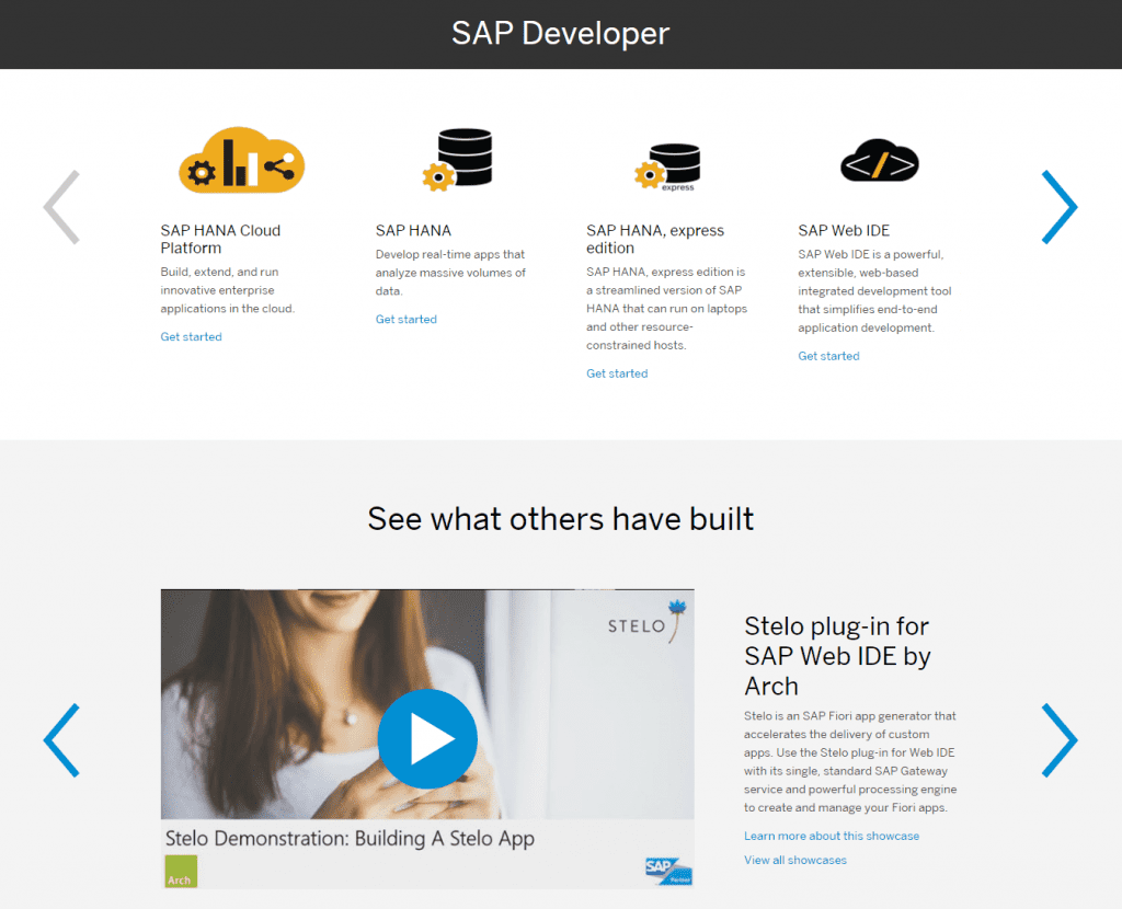 sap_stelo_screenshot